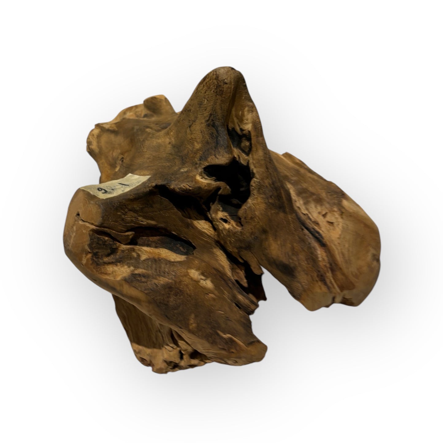 Einzigartige Vase aus Teakholz Wurzel