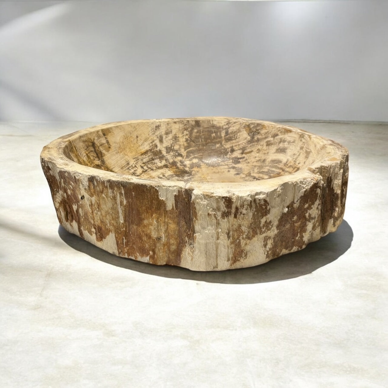 Natursteinwaschbecken Handwaschbecken Fossil Waschschale